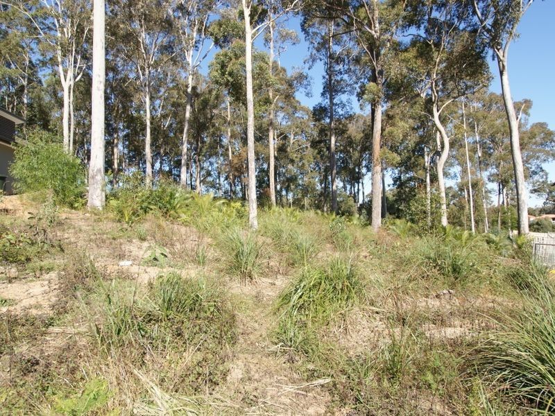 99 Litchfield Crescent, Long Beach NSW 2536