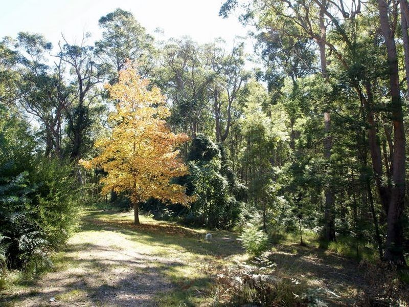 56 Clyde View Drive, Long Beach NSW 2536