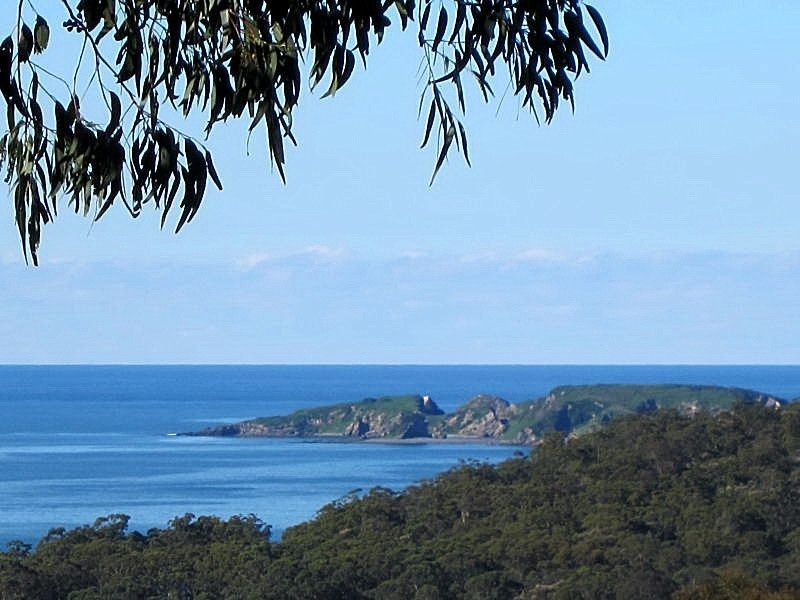 593 The Ridge Road, Surf Beach NSW 2536