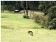 593 The Ridge Road, Surf Beach NSW 2536