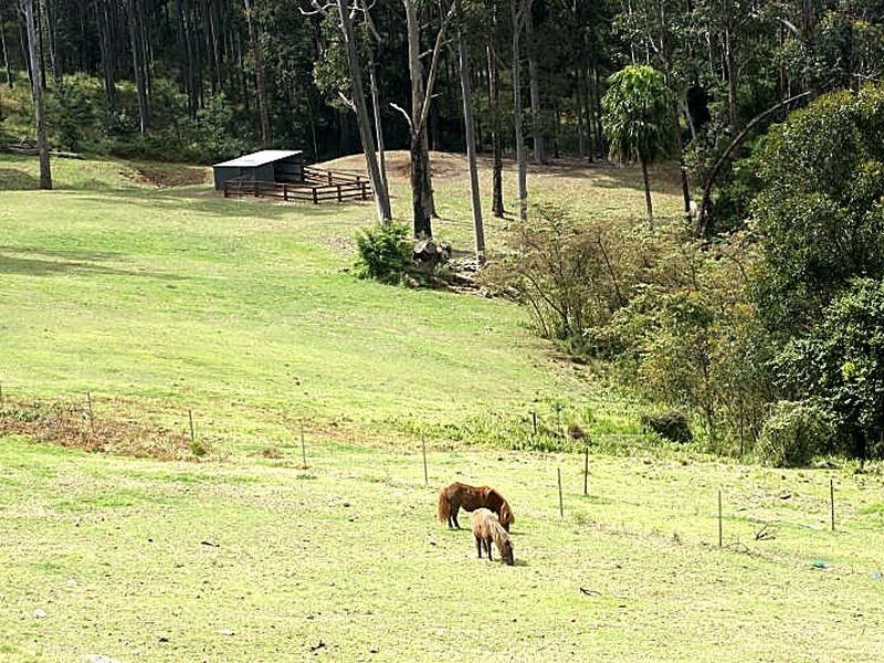 593 The Ridge Road, Surf Beach NSW 2536
