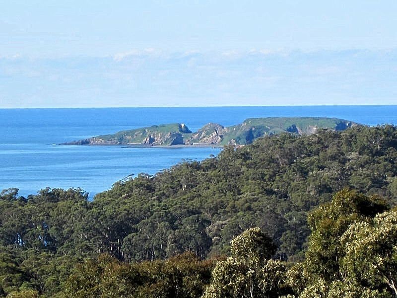 593 The Ridge Road, Surf Beach NSW 2536