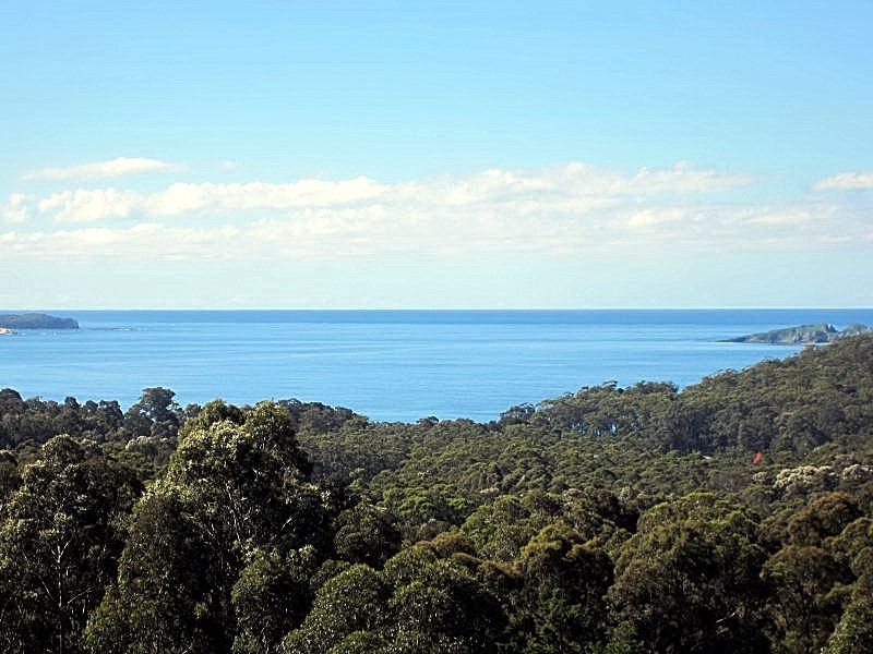 593 The Ridge Road, Surf Beach NSW 2536