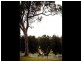238 Old Mossy Point Road, Mossy Point NSW 2537
