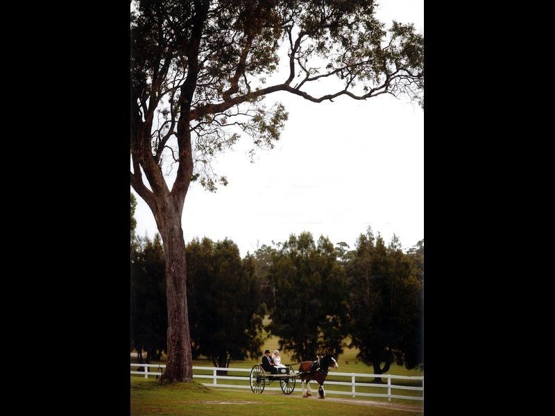 238 Old Mossy Point Road, Mossy Point NSW 2537