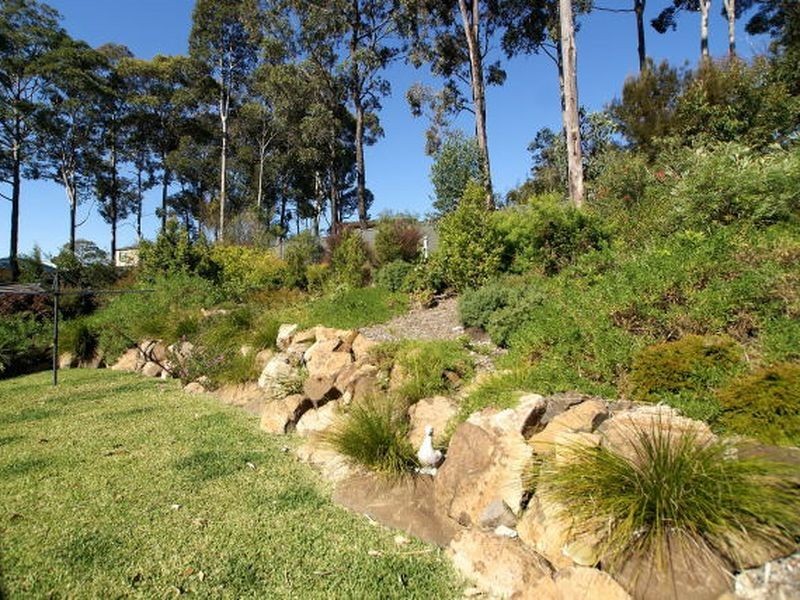 64 Carramar Drive, Lilli Pilli NSW 2536