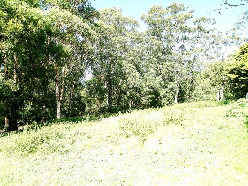 31A Yarrabee Drive, Catalina NSW 2536