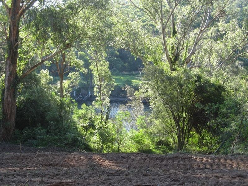 Lot 5 Sheas Road, East Lynne NSW 2536