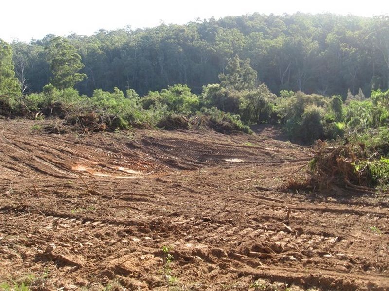 Lot 5 Sheas Road, East Lynne NSW 2536