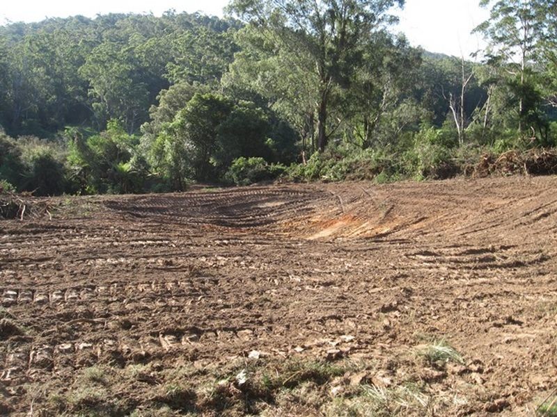 Lot 5 Sheas Road, East Lynne NSW 2536