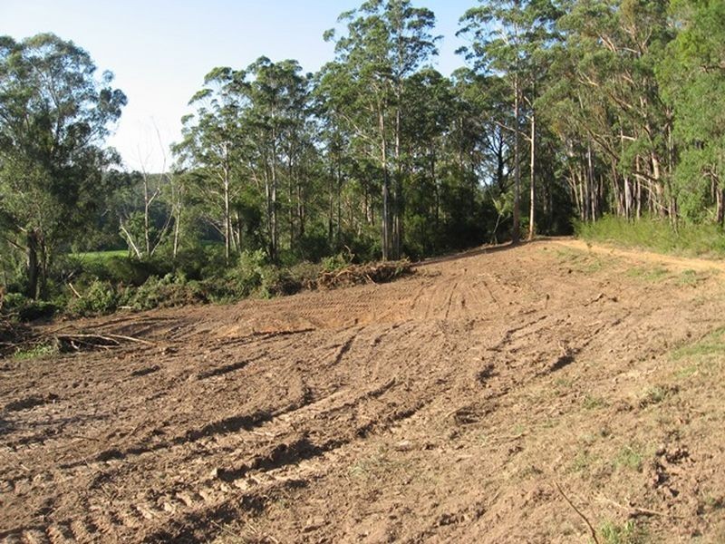 Lot 5 Sheas Road, East Lynne NSW 2536