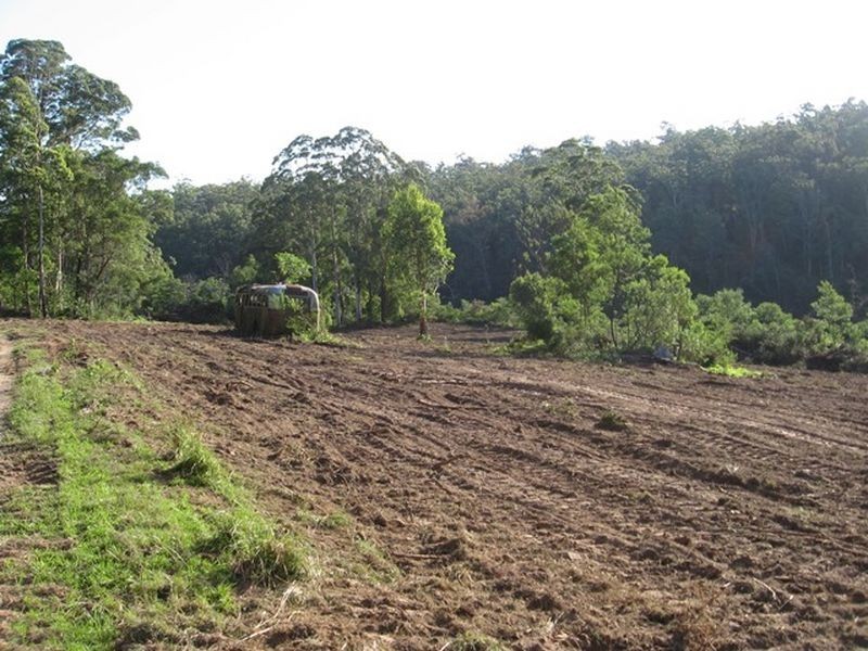 Lot 5 Sheas Road, East Lynne NSW 2536