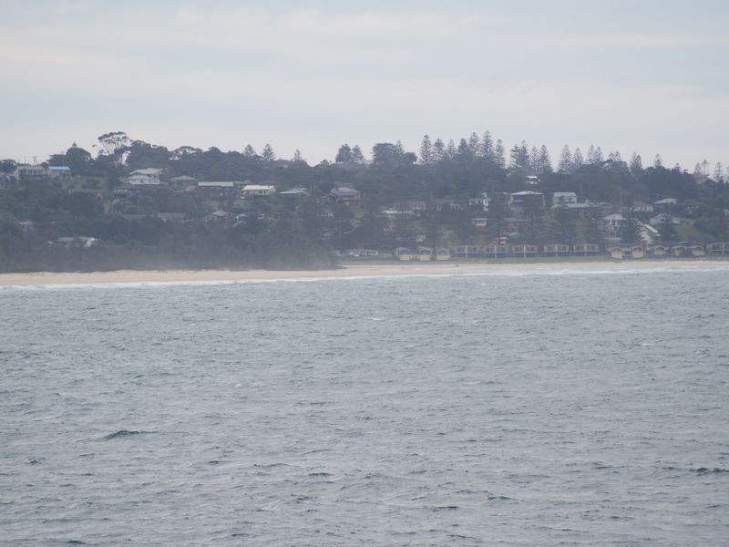 5 Comerang Place, Potato Point NSW 2545