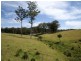 Lot 1 Princes Highway, Termeil NSW 2539