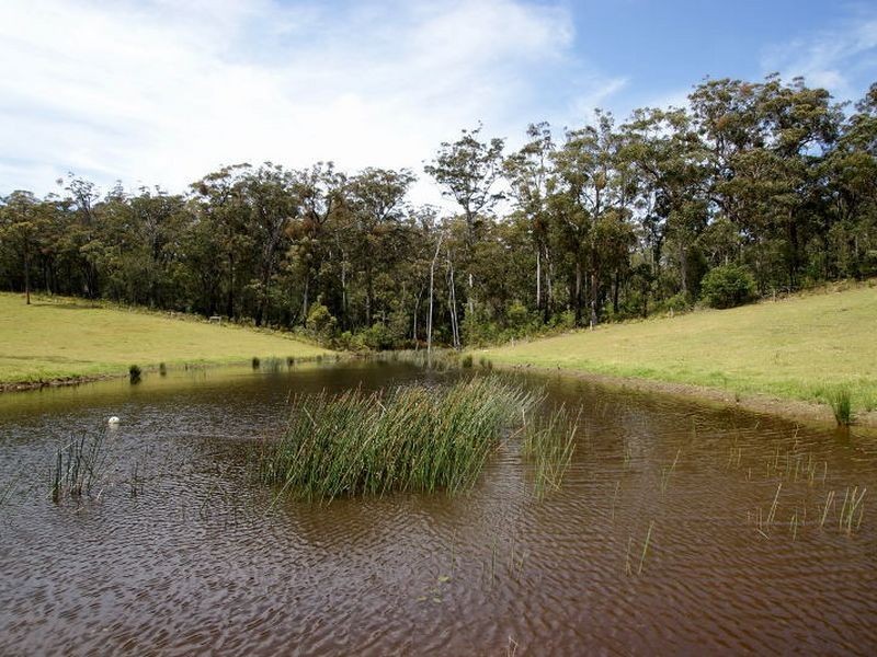 Lot 1 Princes Highway, Termeil NSW 2539