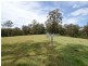 Lot 1 Princes Highway, Termeil NSW 2539