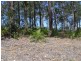 107 Litchfield Crescent, Long Beach NSW 2536