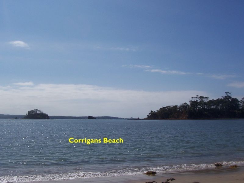 82 Edward Road, Batehaven NSW 2536