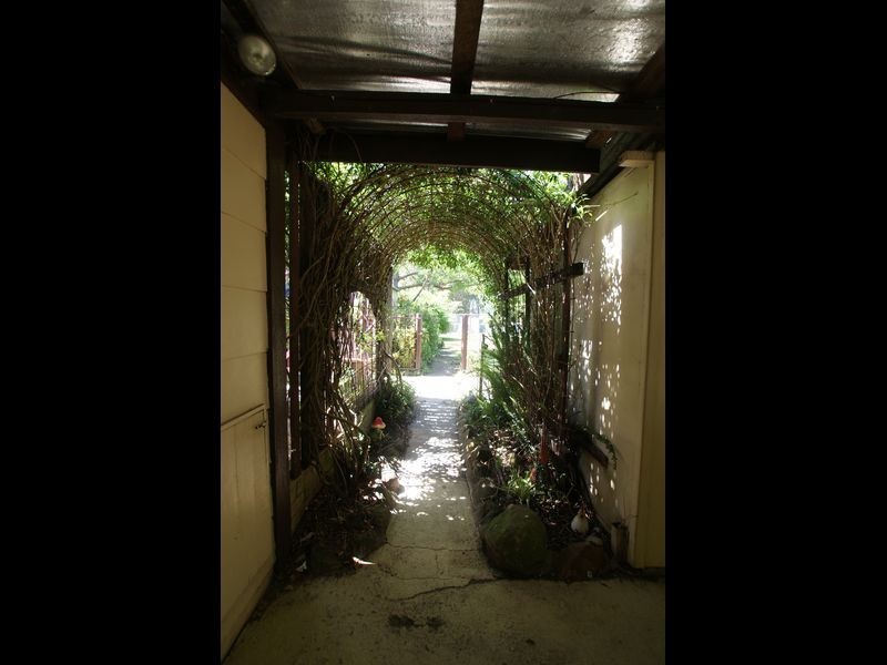 1547 Princes Highway, Mogo NSW 2536