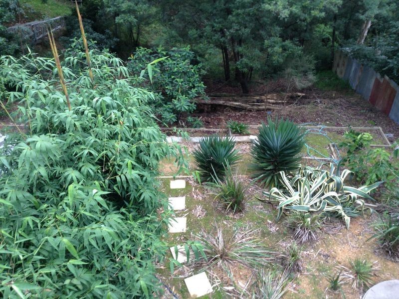 6 Currowan St, Nelligen NSW 2536