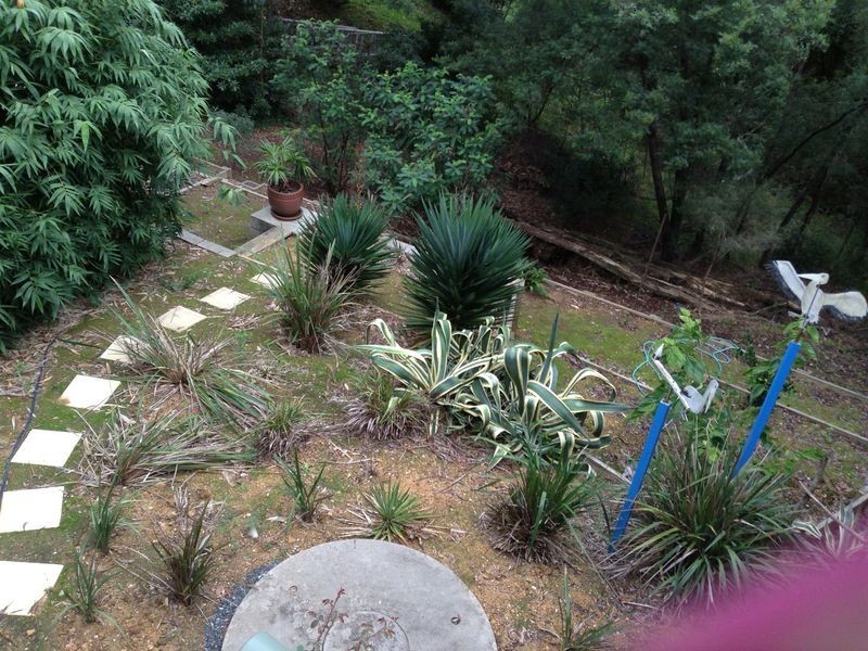 6 Currowan St, Nelligen NSW 2536