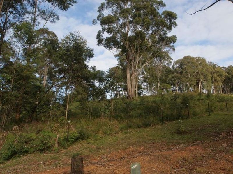 38 Curtis Road, Sunshine Bay NSW 2536