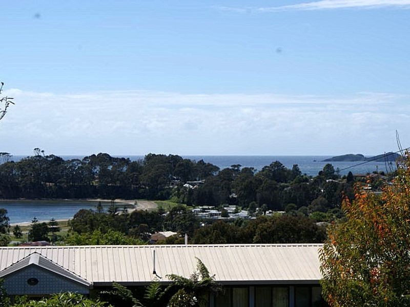 20 Calga Crescent, Catalina NSW 2536