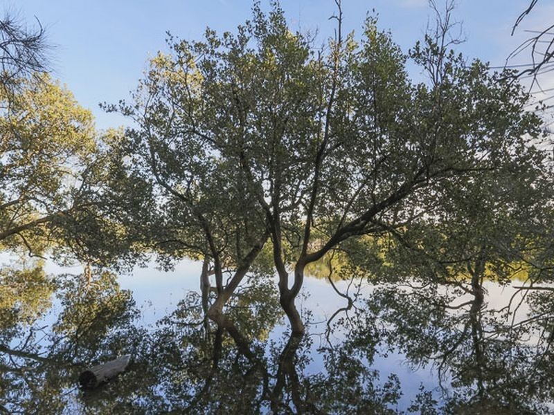 Lot 27 Litchfield Crescent, Long Beach NSW 2536