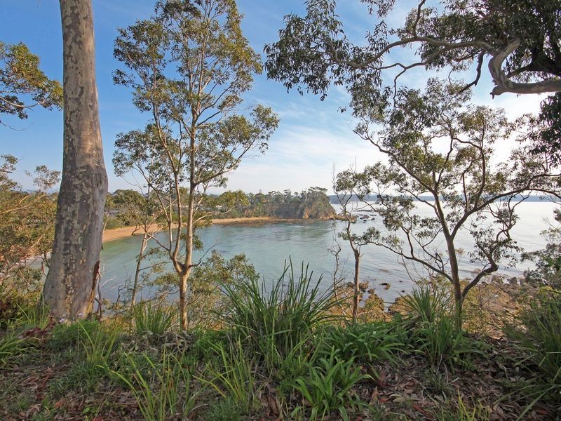 20 Beechwood Court, Sunshine Bay NSW 2536