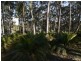 (Lot 5) 10 Gibraltar Way, Long Beach NSW 2536
