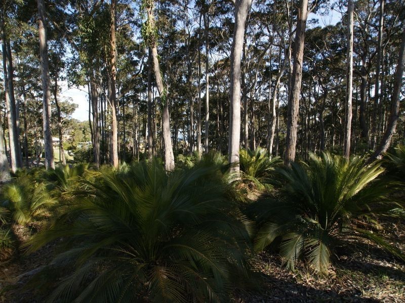 (Lot 5) 10 Gibraltar Way, Long Beach NSW 2536