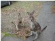 26 Depot Beach Road, Durras North NSW 2536