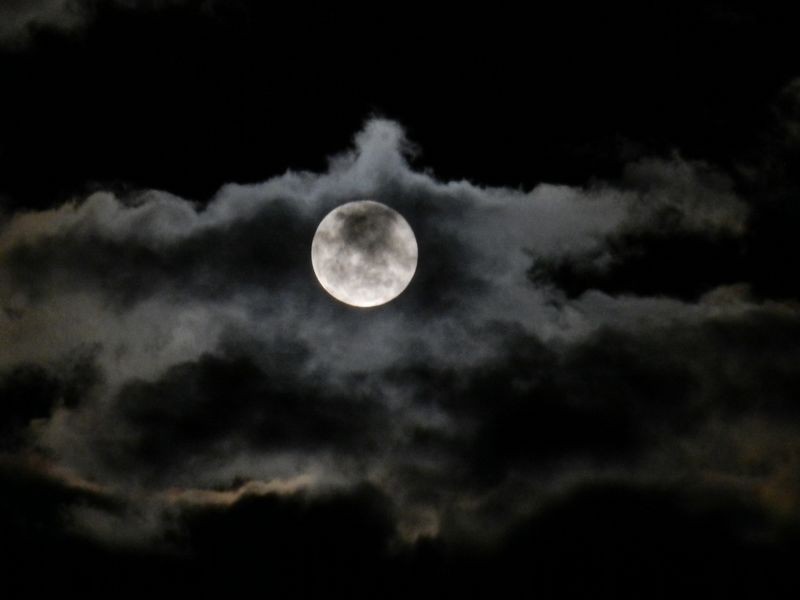 139 Country Club Drive, Catalina NSW 2536