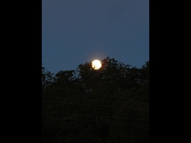 139 Country Club Drive, Catalina NSW 2536