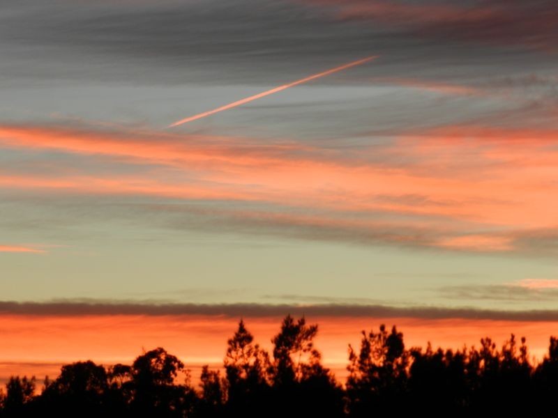 139 Country Club Drive, Catalina NSW 2536