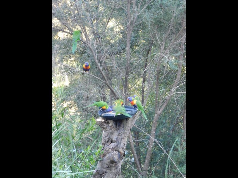 139 Country Club Drive, Catalina NSW 2536