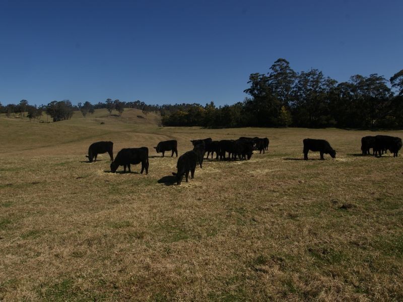 Lot 1 2 & Blackflat & The River Road (Nelligen), Batehaven NSW 2536