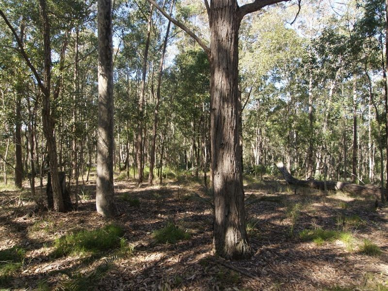 Lot 1 2 & Blackflat & The River Road (Nelligen), Batehaven NSW 2536
