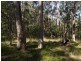 Lot 1 2 & Blackflat & The River Road (Nelligen), Batehaven NSW 2536