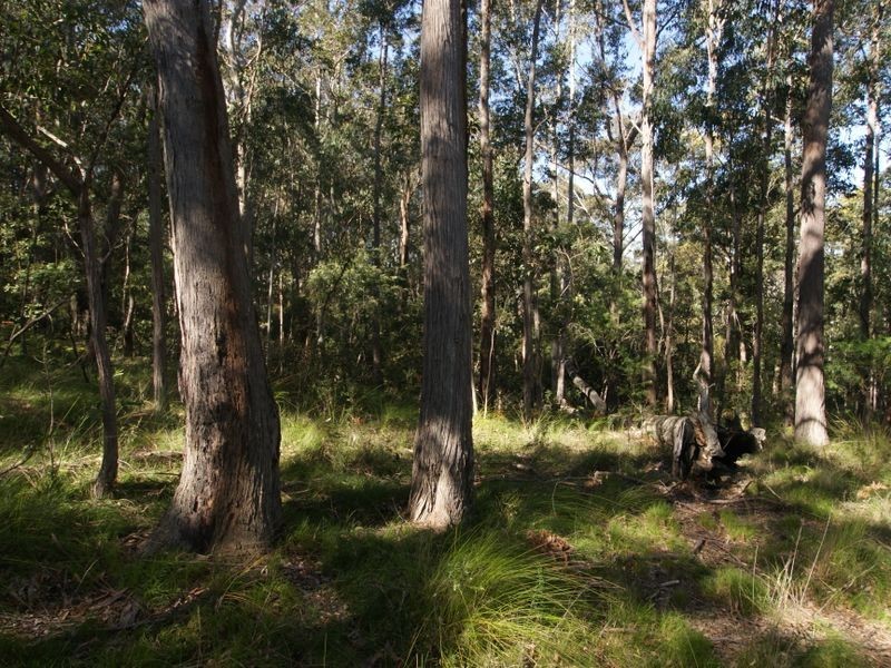 Lot 1 2 & Blackflat & The River Road (Nelligen), Batehaven NSW 2536