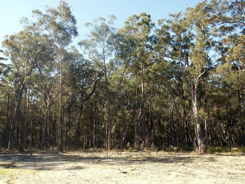 12 Norman Place, Bimbimbie NSW 2536