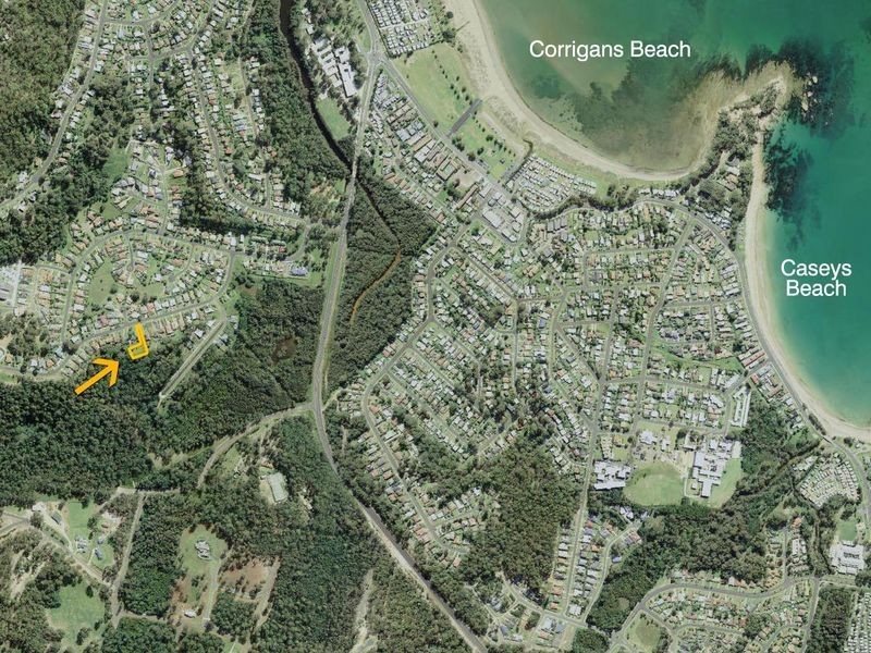 31A Yarrabee Drive, Catalina NSW 2536