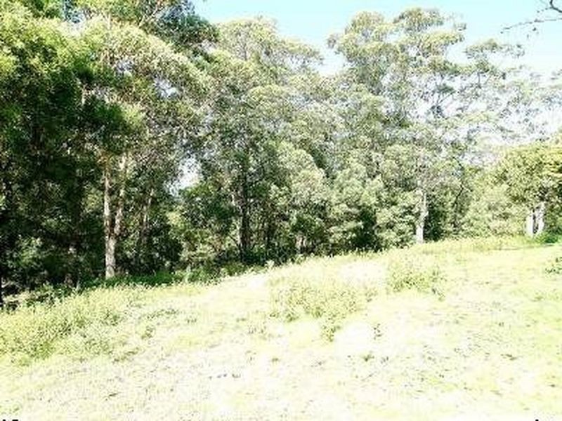 31A Yarrabee Drive, Catalina NSW 2536