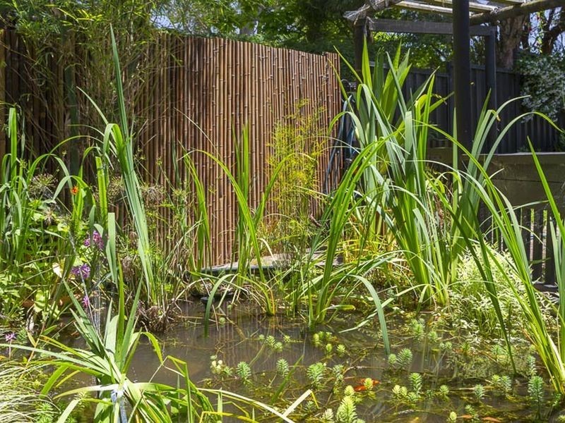 7 Nelligen Place, Nelligen NSW 2536