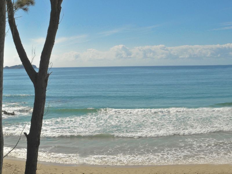 6 Cook Ave, Surf Beach NSW 2536