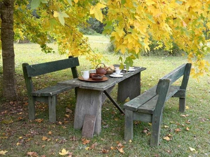 406 Backhouses Forest Road, Mogood NSW 2538