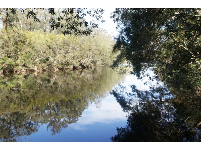 406 Backhouses Forest Road, Mogood NSW 2538