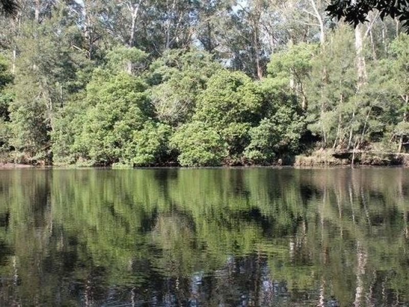 406 Backhouses Forest Road, Mogood NSW 2538