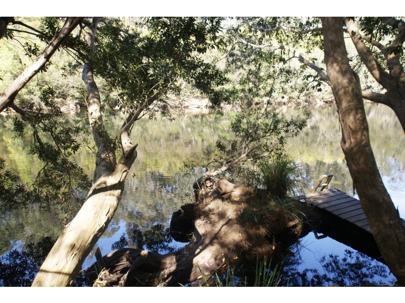 406 Backhouses Forest Road, Mogood NSW 2538