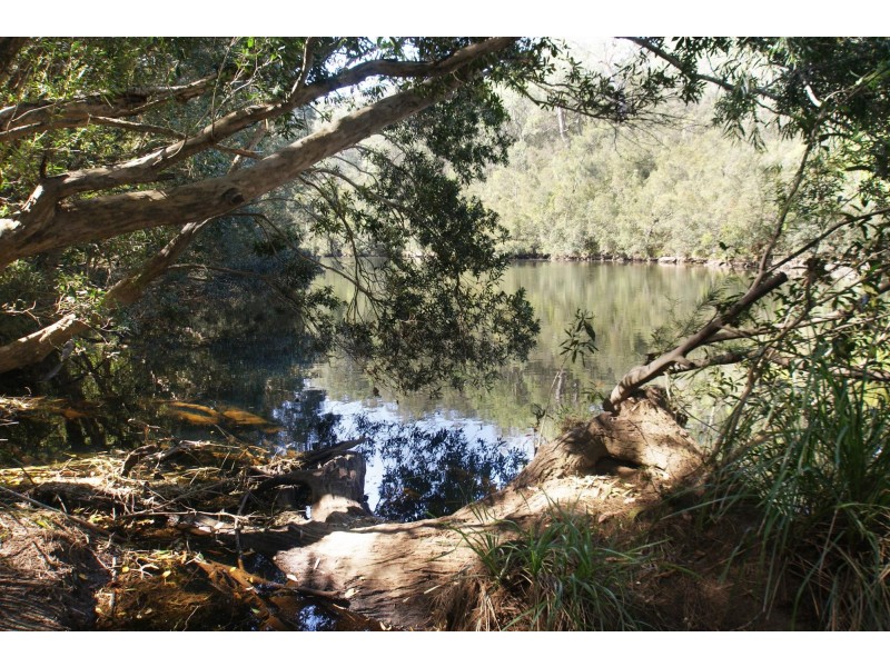 406 Backhouses Forest Road, Mogood NSW 2538